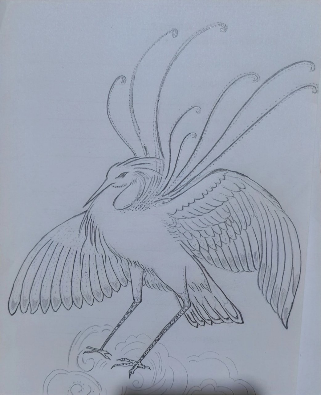 名曰鸾鸟,见则天下安宁   《山海经》 画画125天 临摹 铅笔画