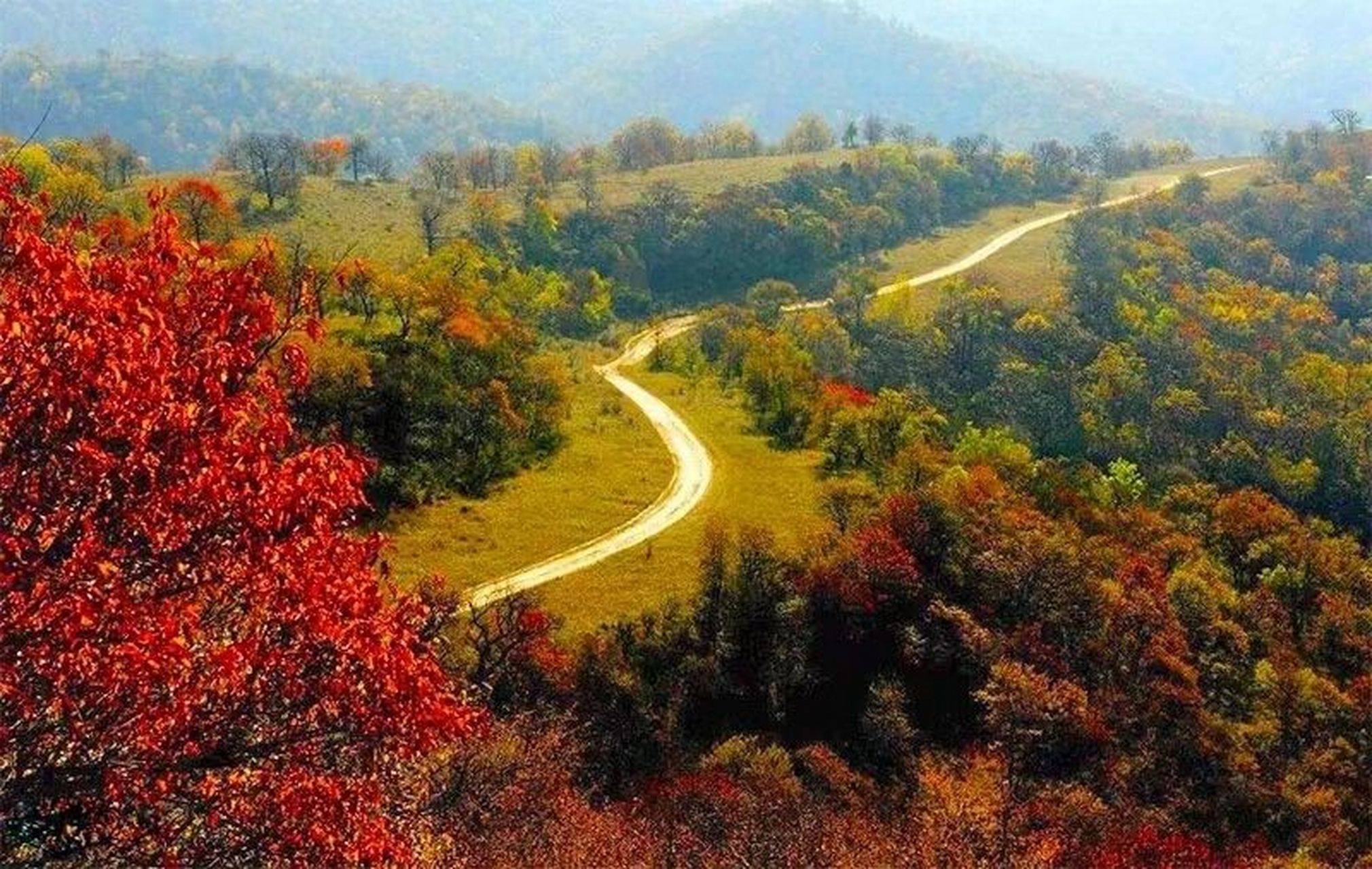 美丽的陕北风景图片图片