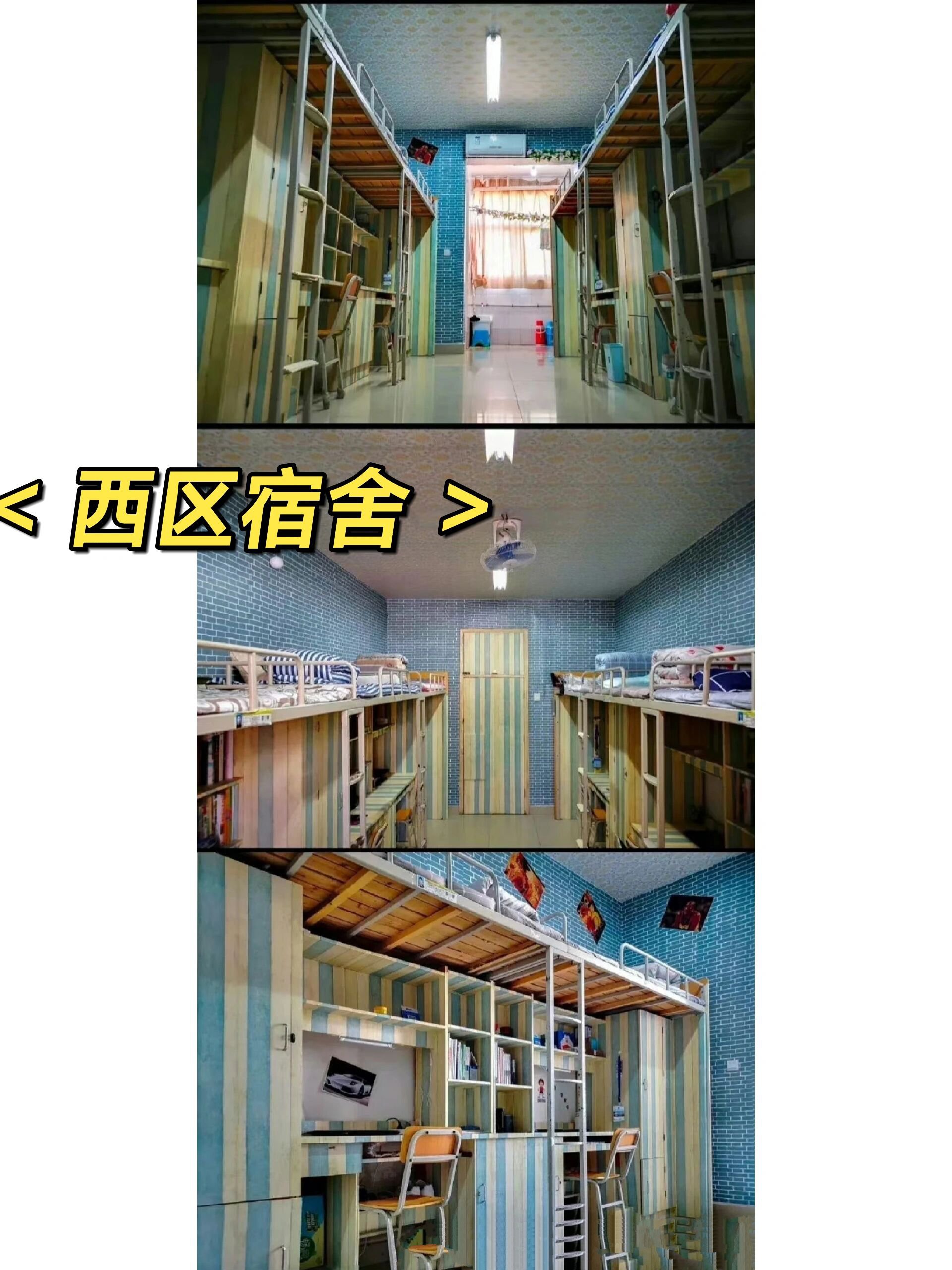 南阳师范学院专科宿舍图片