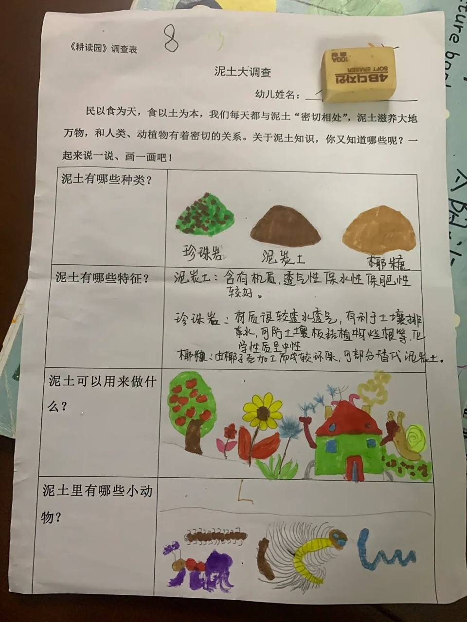 none 幼儿园作业,泥土大调查