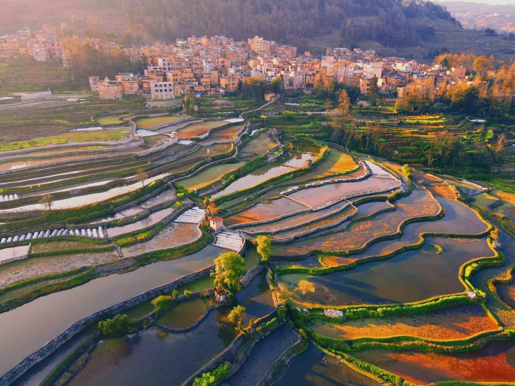 元阳|红河哈尼族彝族自治州|上帝的调色盘 我的龙年新游记第十六站