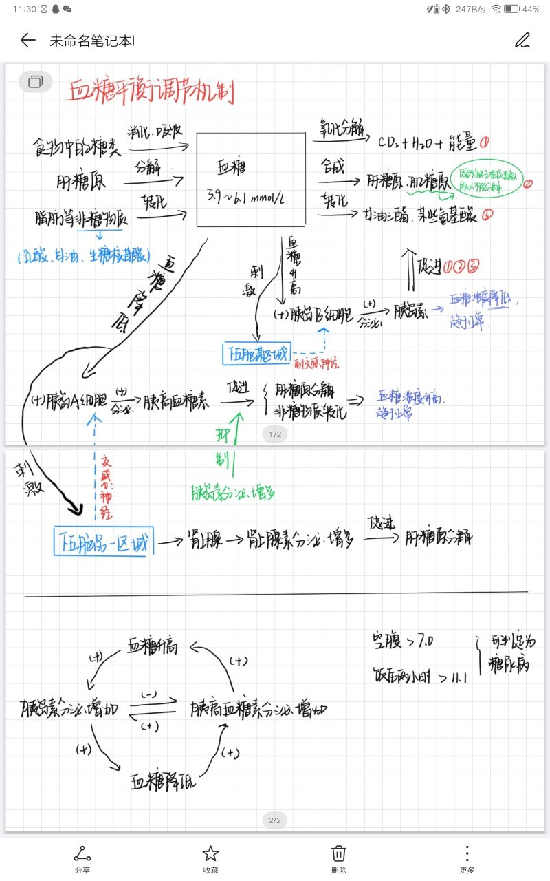 血糖调节的思维导图图片