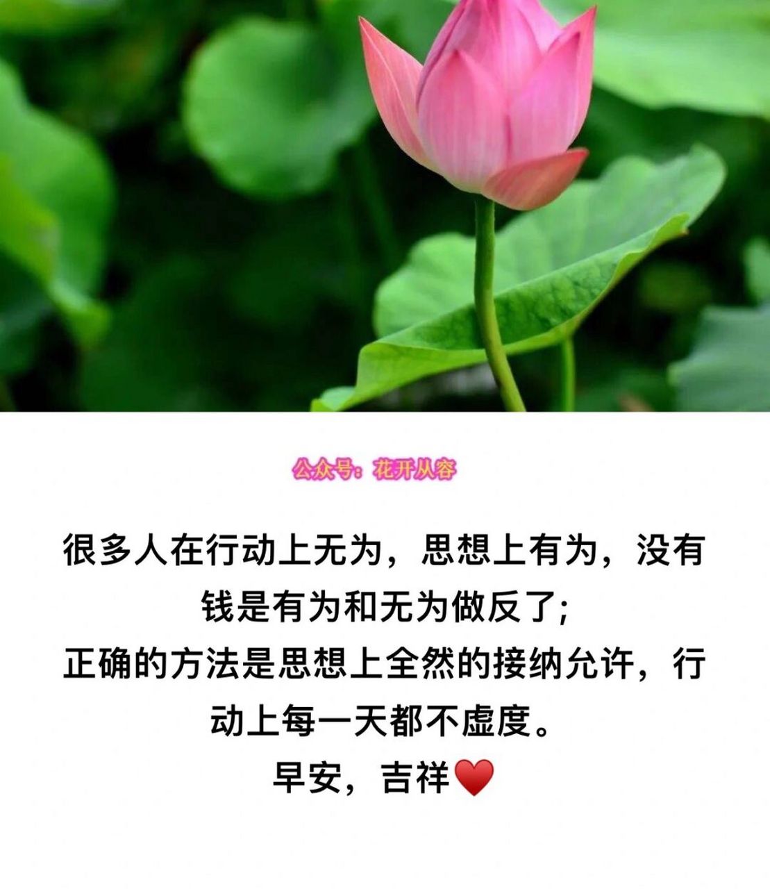很多人在行动上无为,思想上有为,没有钱是有为和无为做反了; 正确的