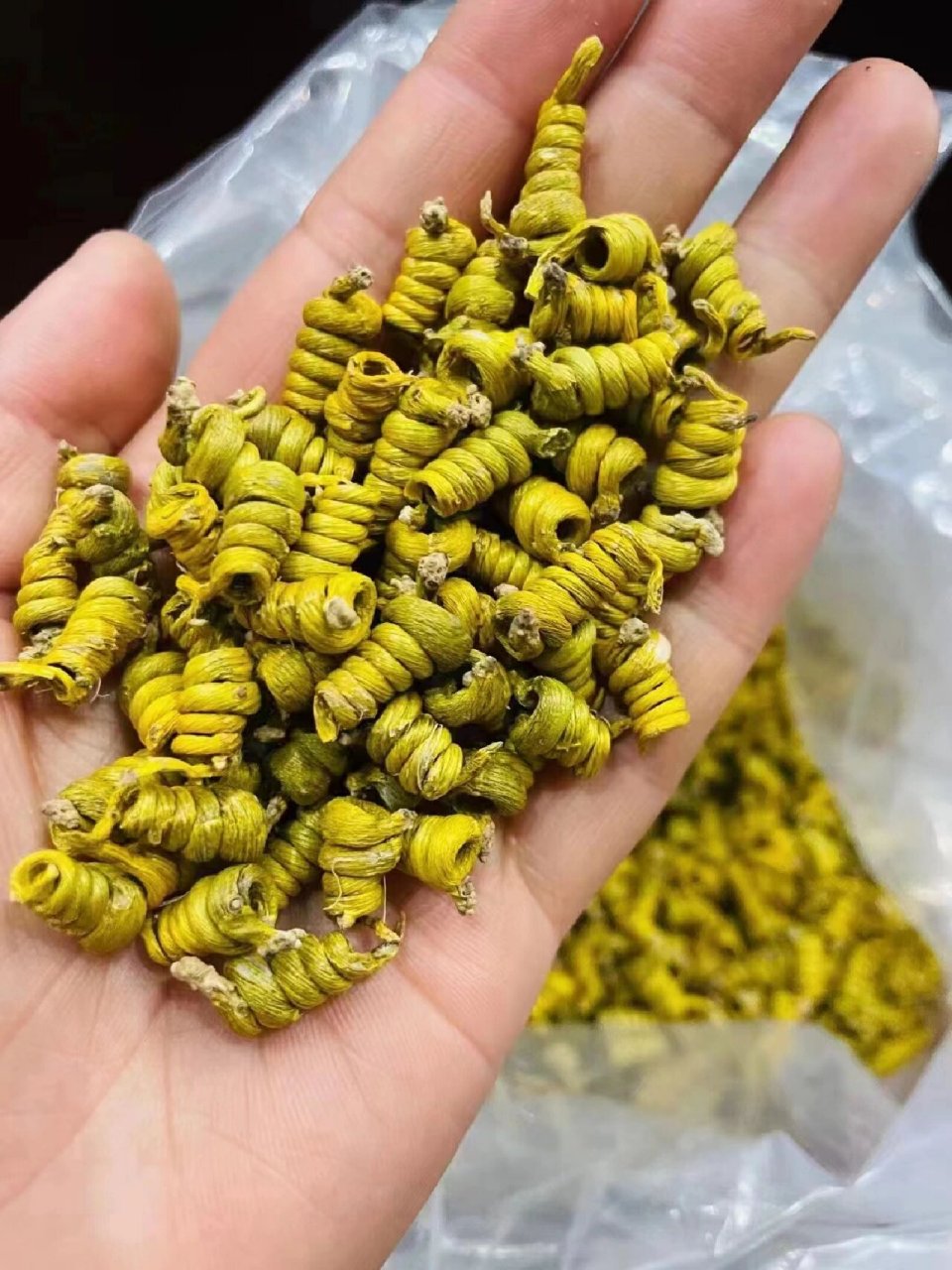 小谢斛说【产品篇】霍山米斛你为何如此特别 很多朋友都好奇,米斛明明