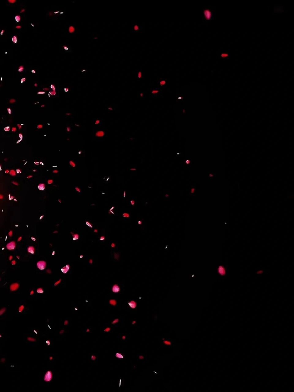 音乐视频素材#花瓣飞舞#花瓣飘落素材