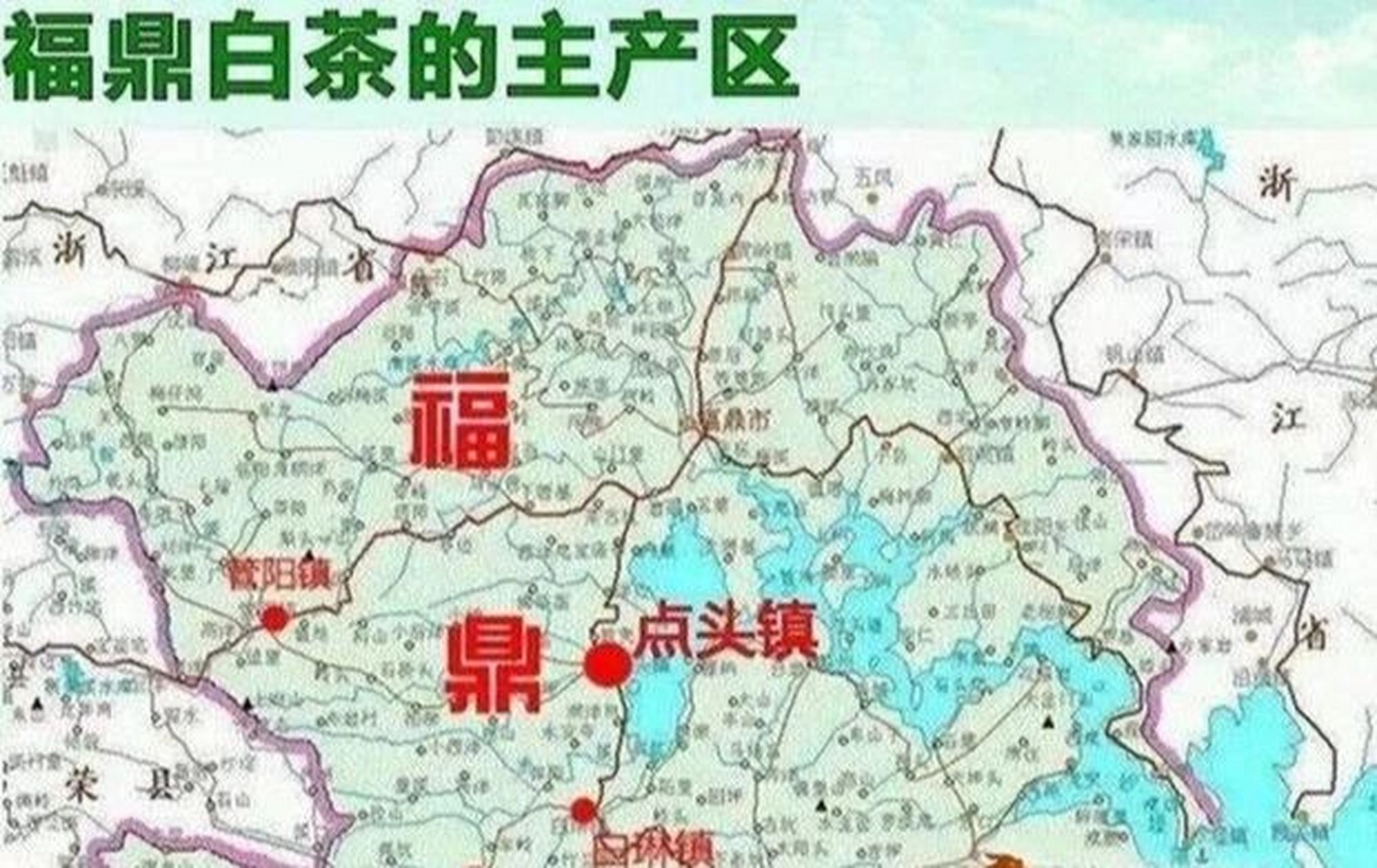 福鼎白茶有四个核心产区,分别是磻溪镇,太姥山镇,管阳镇,点头镇,每个