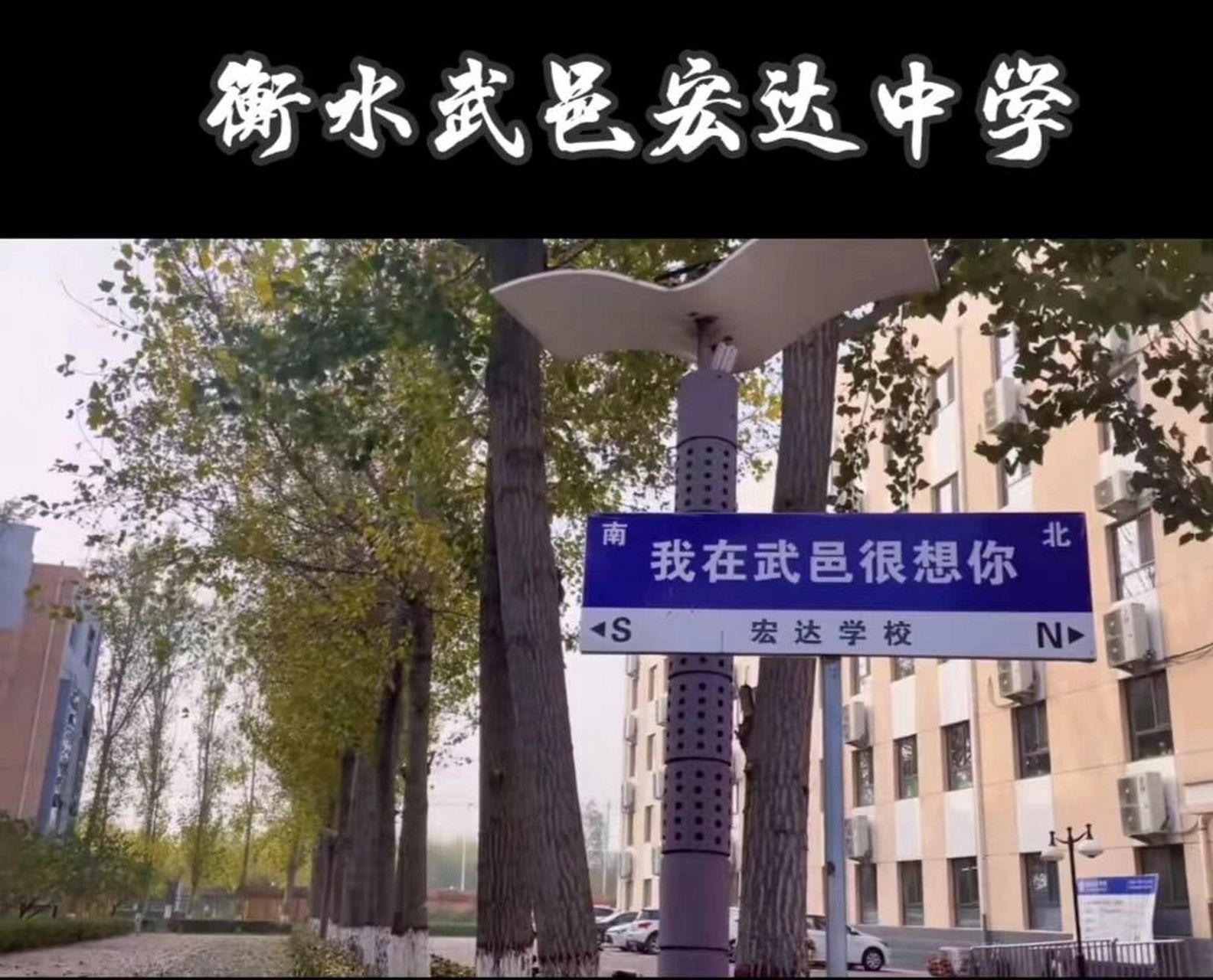 衡水武邑宏达学校(武中系)篇 衡水武邑宏达学校即河北武邑中学(武中系