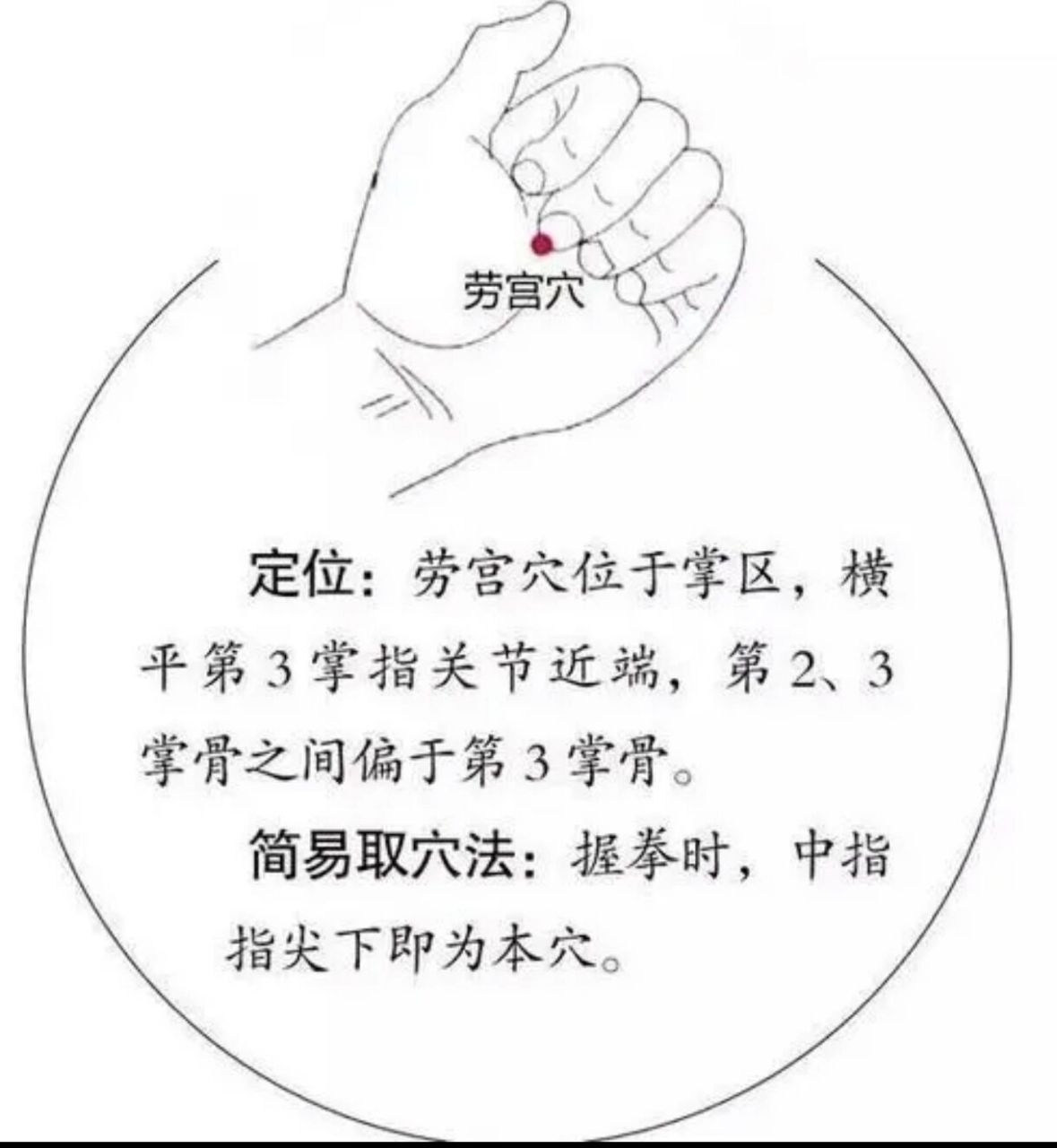 劳宫穴(心包经)—补心血 "心包经的劳宫穴,我曾解释为"劳累了以后去