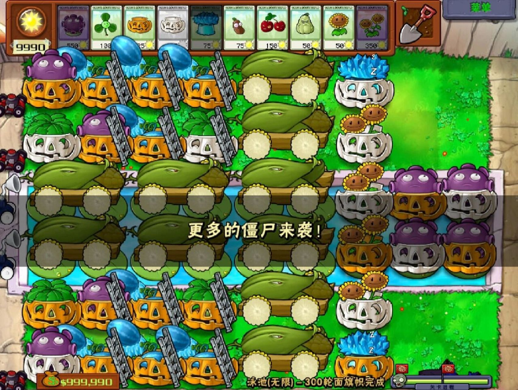 植物大战僵尸泳池无尽十炮阵容 之前我也尝试过八炮,但那样又有空档期