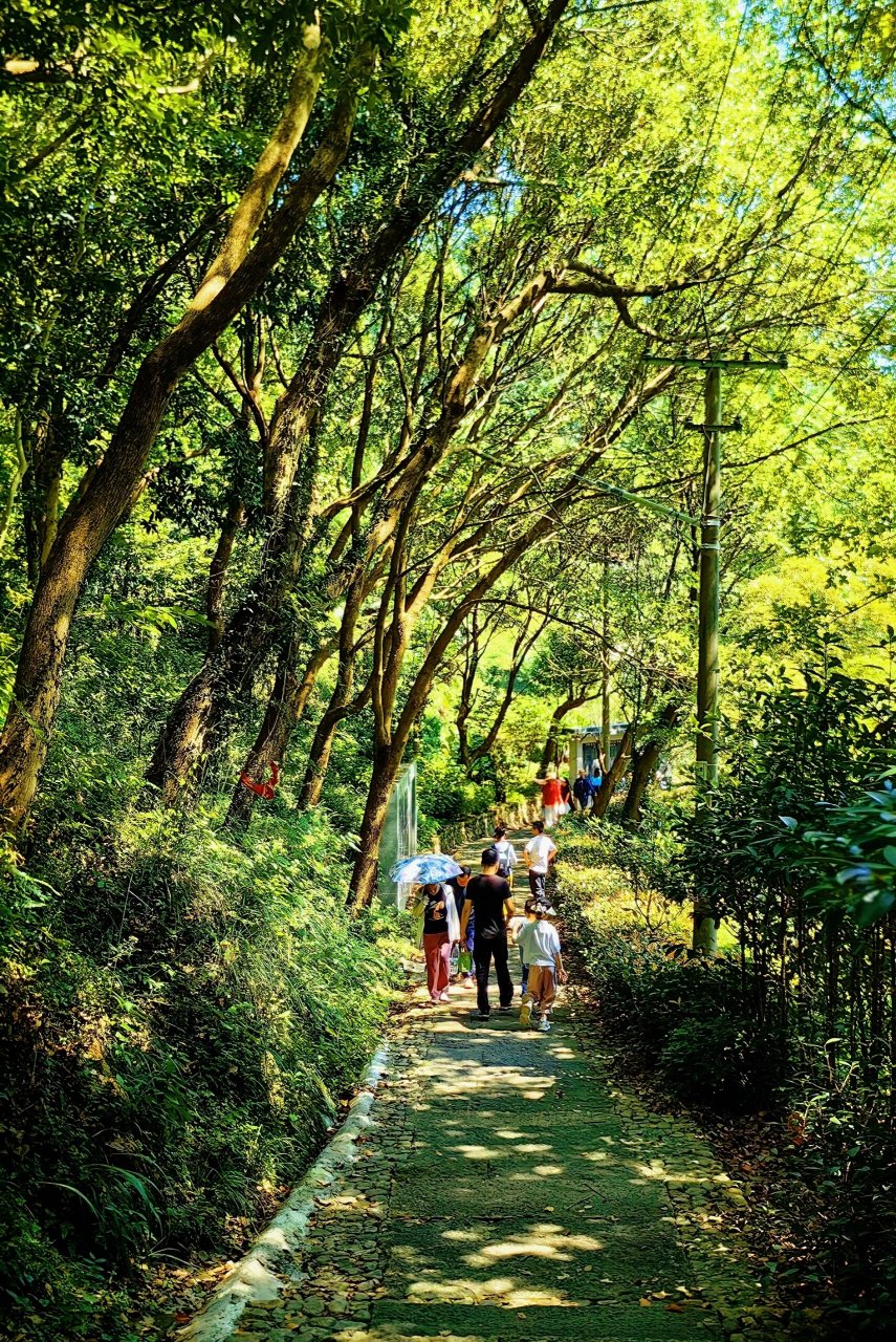 宁波龙鹫登山步道图片