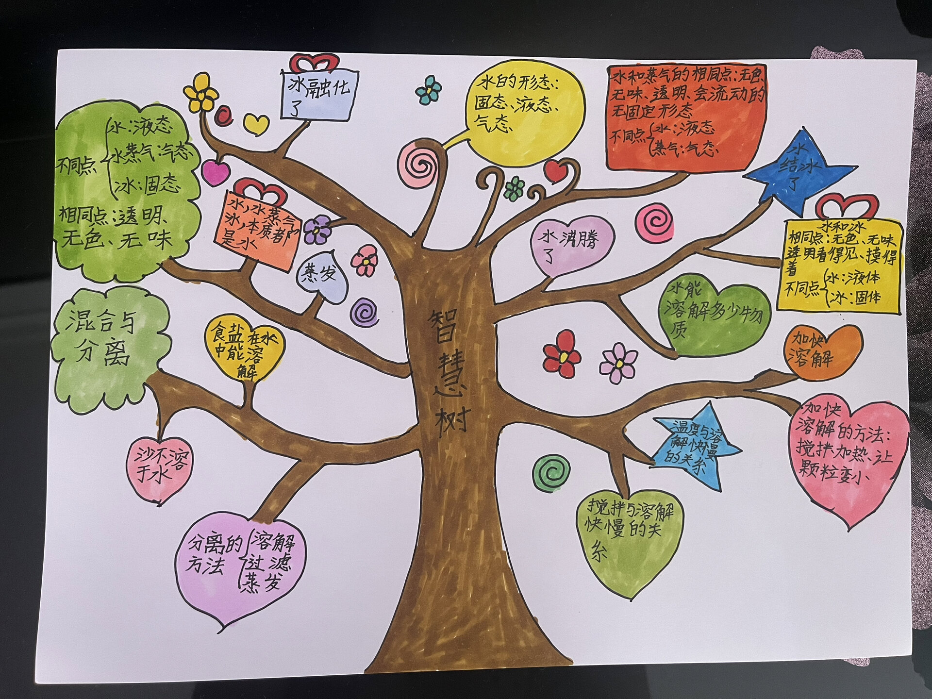 三年级上册科学智慧树