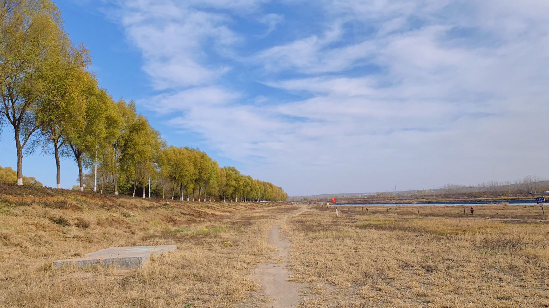 榆次湿地公园图片