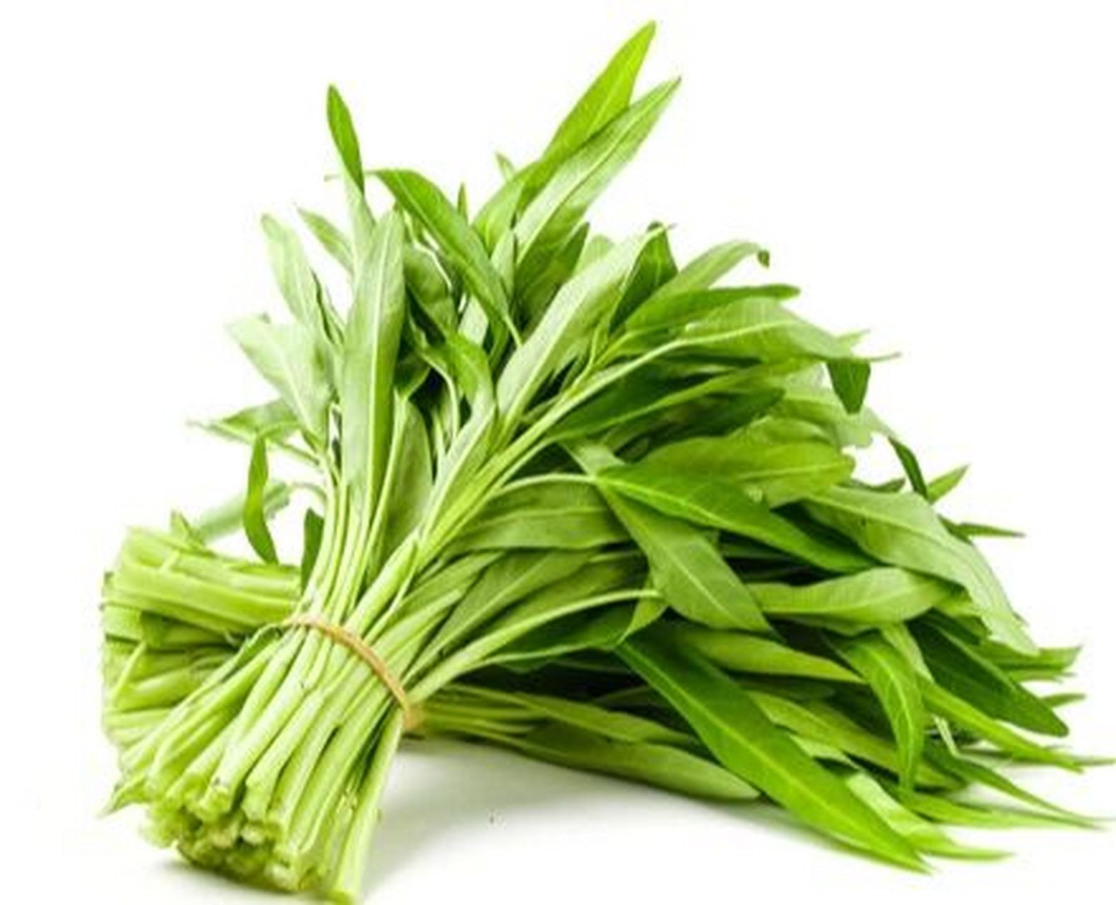 说起藤藤菜,相信很多人吃过炝炒的. 	 藤藤菜,也叫空心菜.