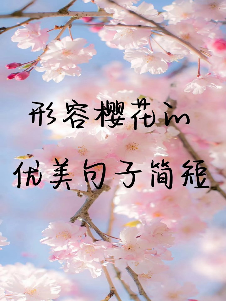形容樱花的优美句子简短