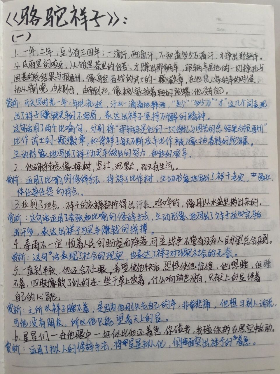 《骆驼祥子》读书笔记