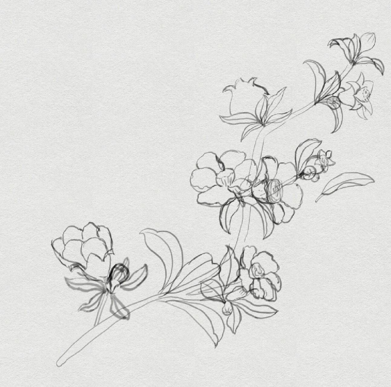 叶子,花朵,单个个体来说都比较简单.然后就是上色了,头疼.