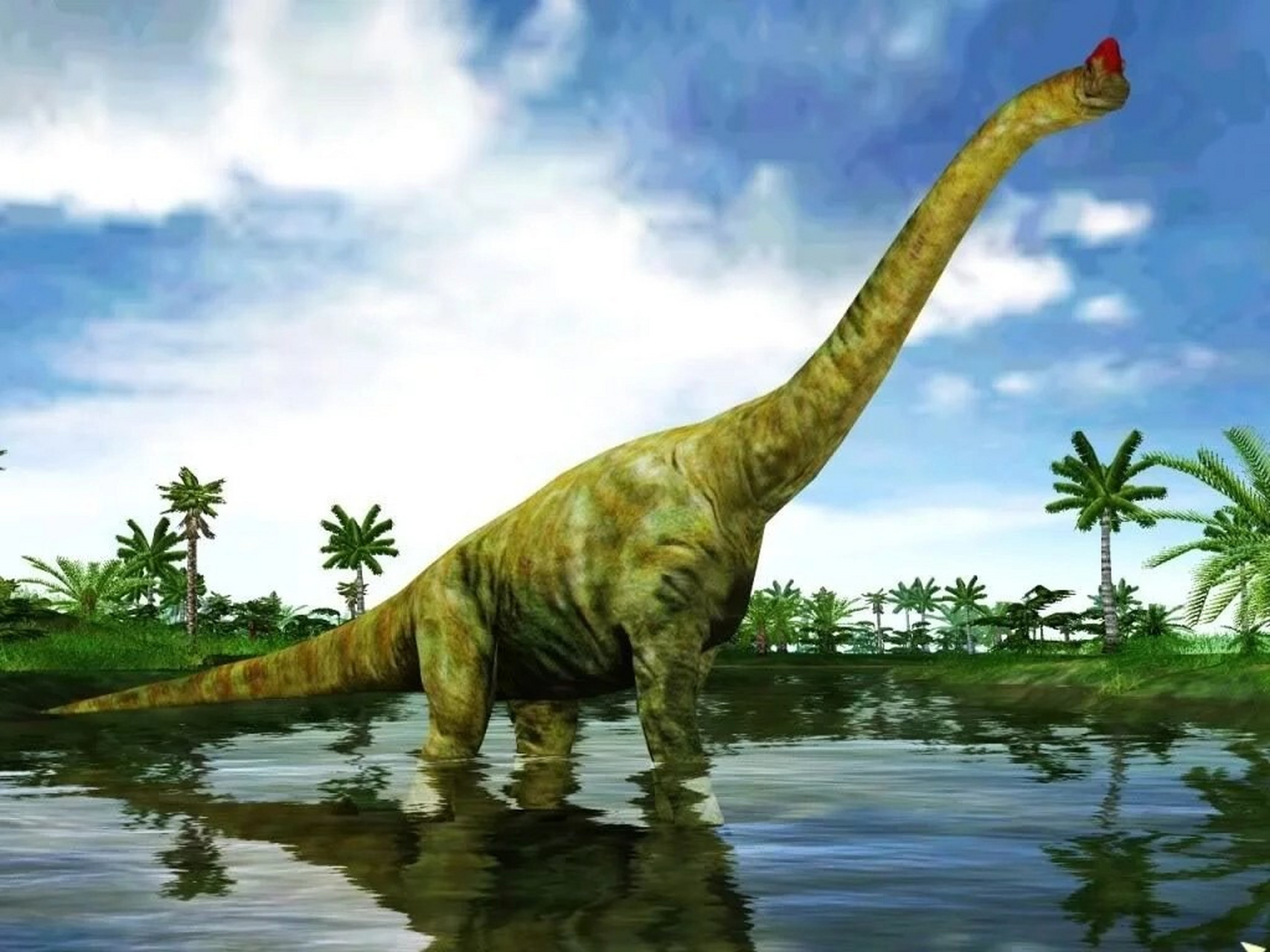 今日恐龙科普|腕龙 8715腕龙(学名:brachiosaurus) 是蜥脚下目的