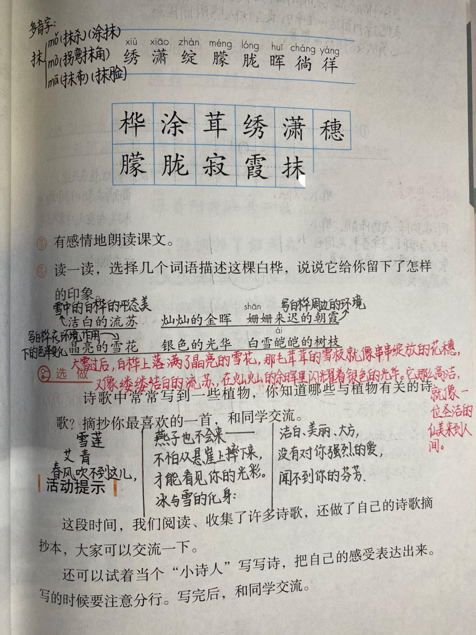 四下:《白桦》详细笔记 四下:《白桦》详细笔记 看不清的地方可以看
