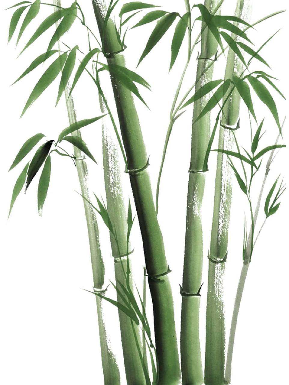 水墨古风竹子|竹叶装饰免扣素材合集no.