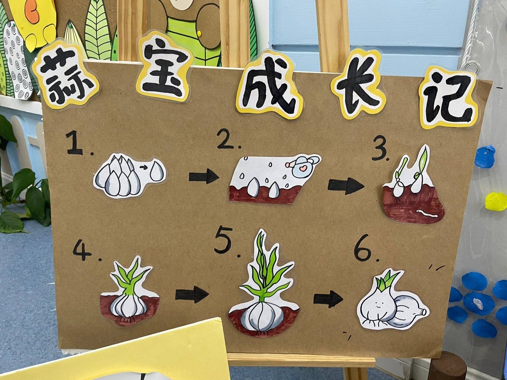 【幼儿园】秋天主题植物角 水培区 种植区 实验区 观察区