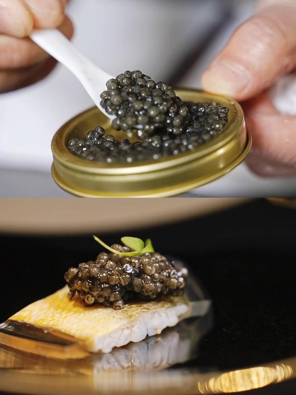荣府黄鱼宴|鱼子酱黄鱼冻 头盘:欧洲鳇鱼子酱黄鱼冻 本鲜源自鱼家 带