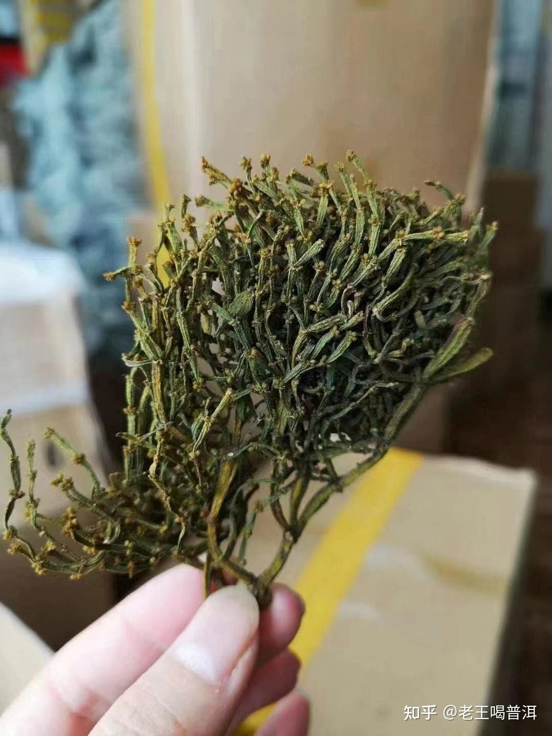 普洱茶树上的螃蟹脚有什么特点