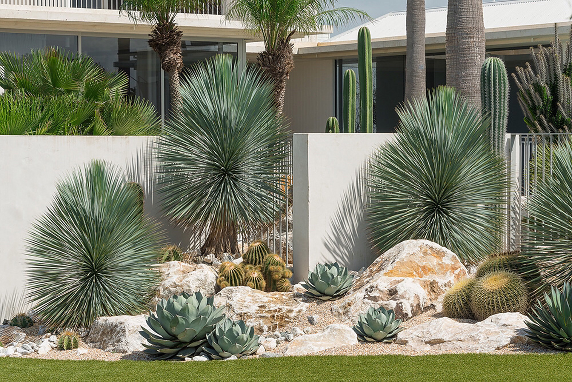 别错过,帮你省钱的沙漠植物造景 低维护低成本的沙生植物造景