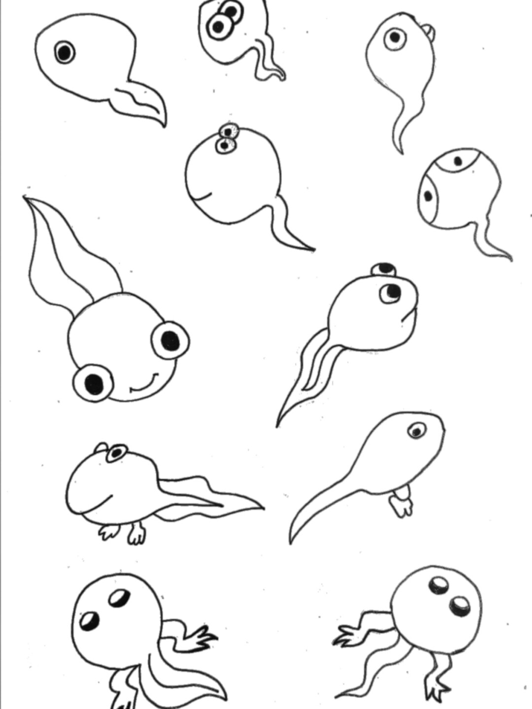 蝌蚪—黑白简笔画
