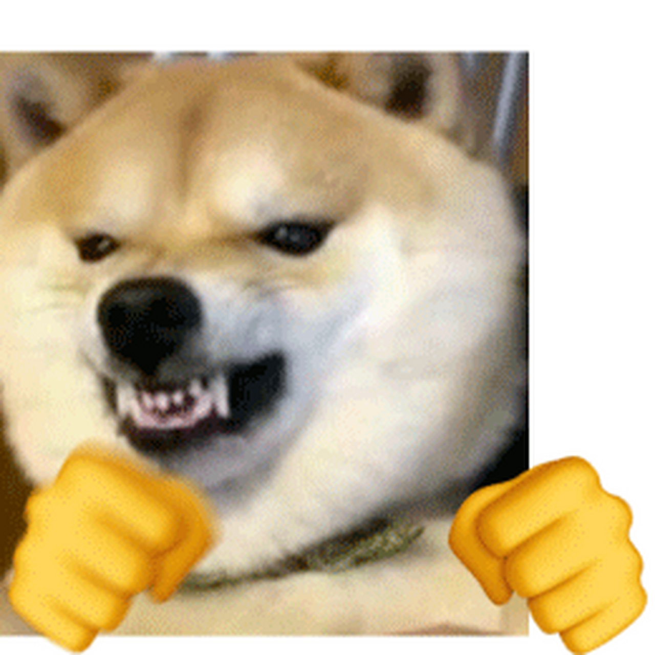 快发狼人杀视频,邦邦给砍宝两拳. 快发狼人杀视频,邦邦给砍宝两拳.