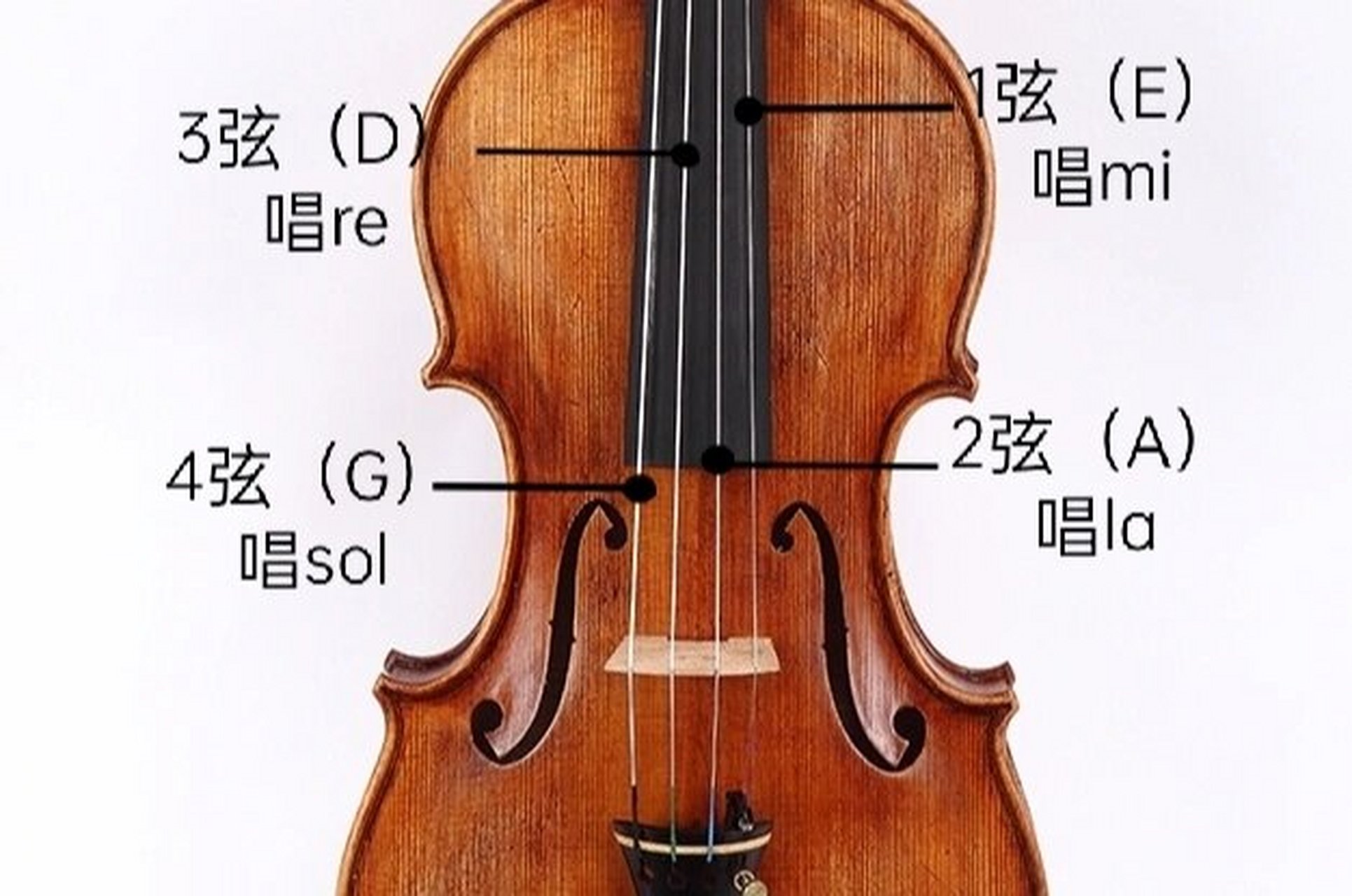 小提琴入门课(3)认识琴弦 小提琴共有4根琴弦, 从右至左,从细至粗