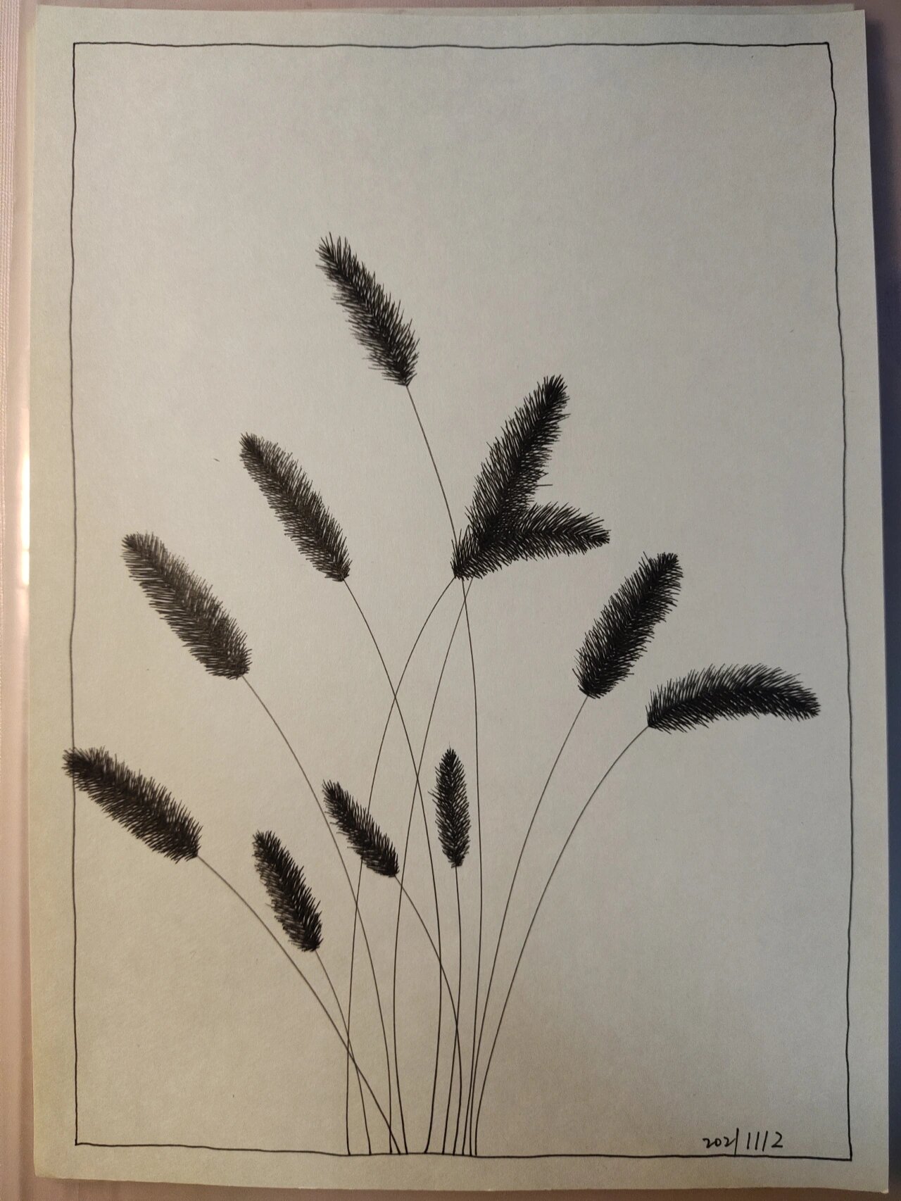 有趣又简单,今天就不打稿子了直接上[你懂的] #狗尾巴草# #简笔画