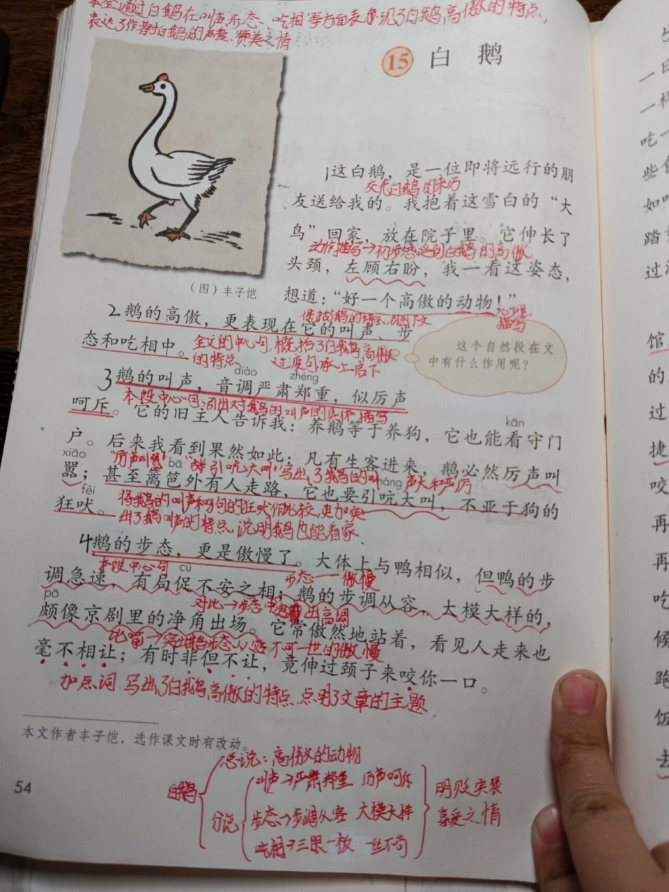 白鹅笔记图片