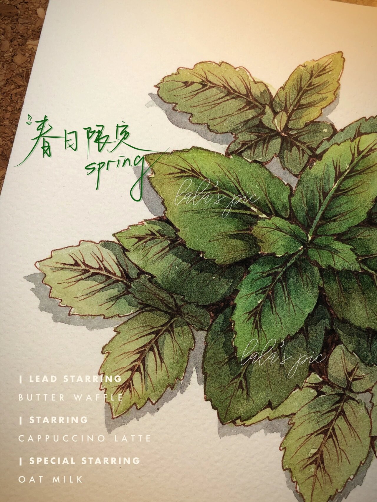 钢笔淡彩丨薄荷🌿多图丨附线稿