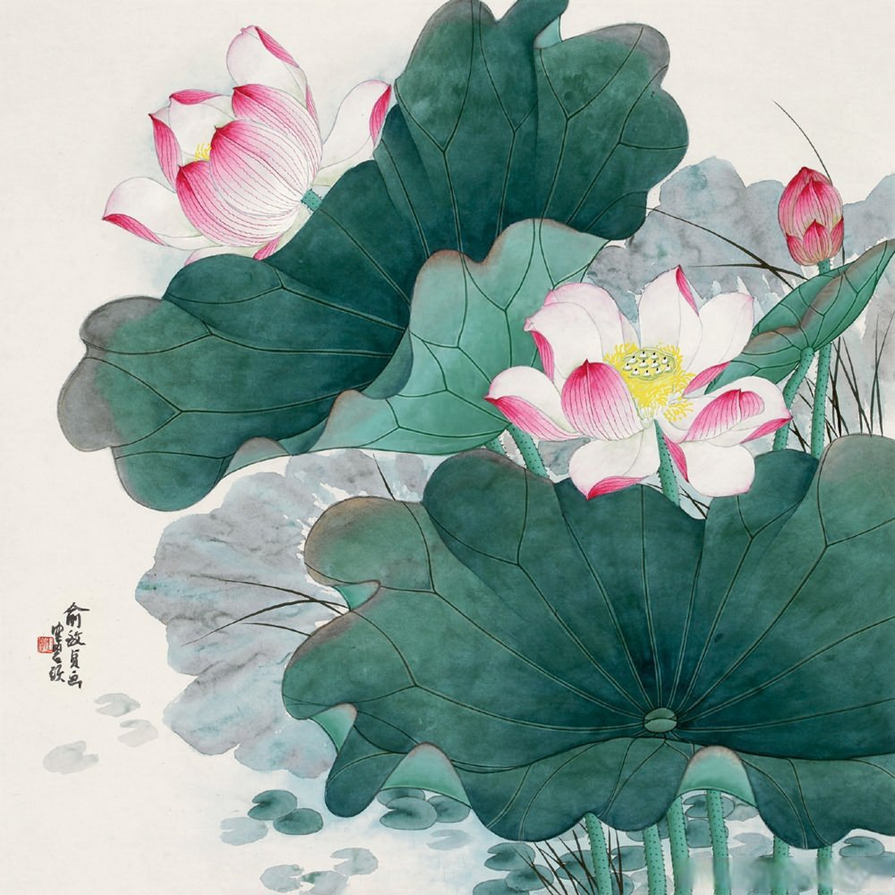 画家俞致贞笔下的荷花