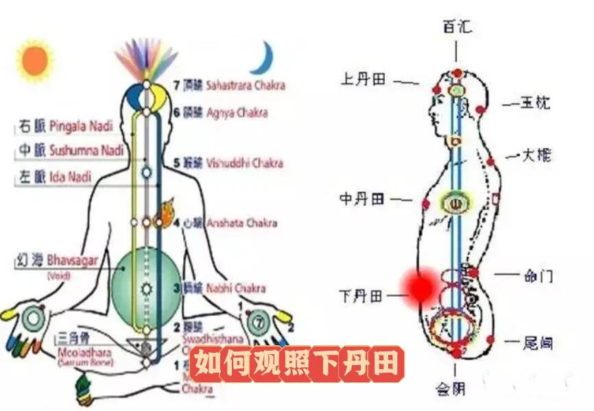 下丹田在小腹