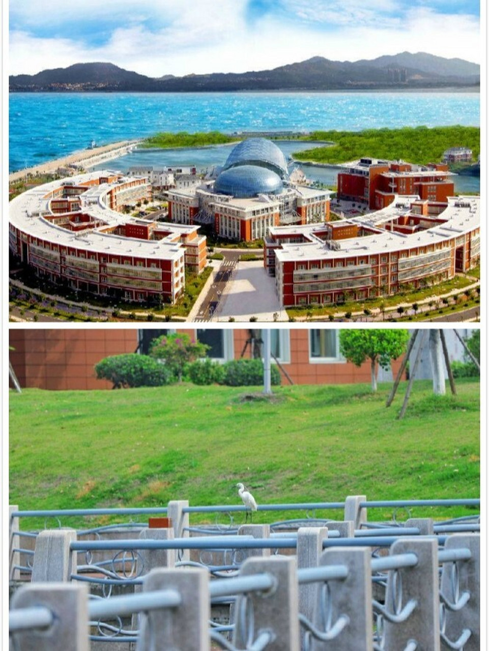 98厦门杏林湾大酒店&厦门灵玲马戏城套餐 00周末不77价 丨 90