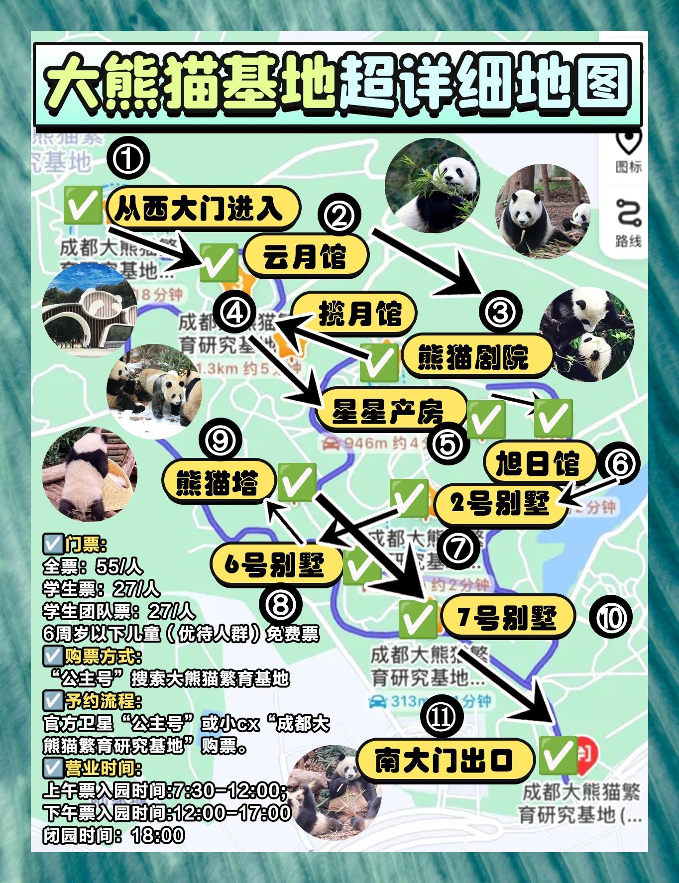成都必游:大熊猫繁育基地深度探访攻略 🌟💖 经验大放送!
