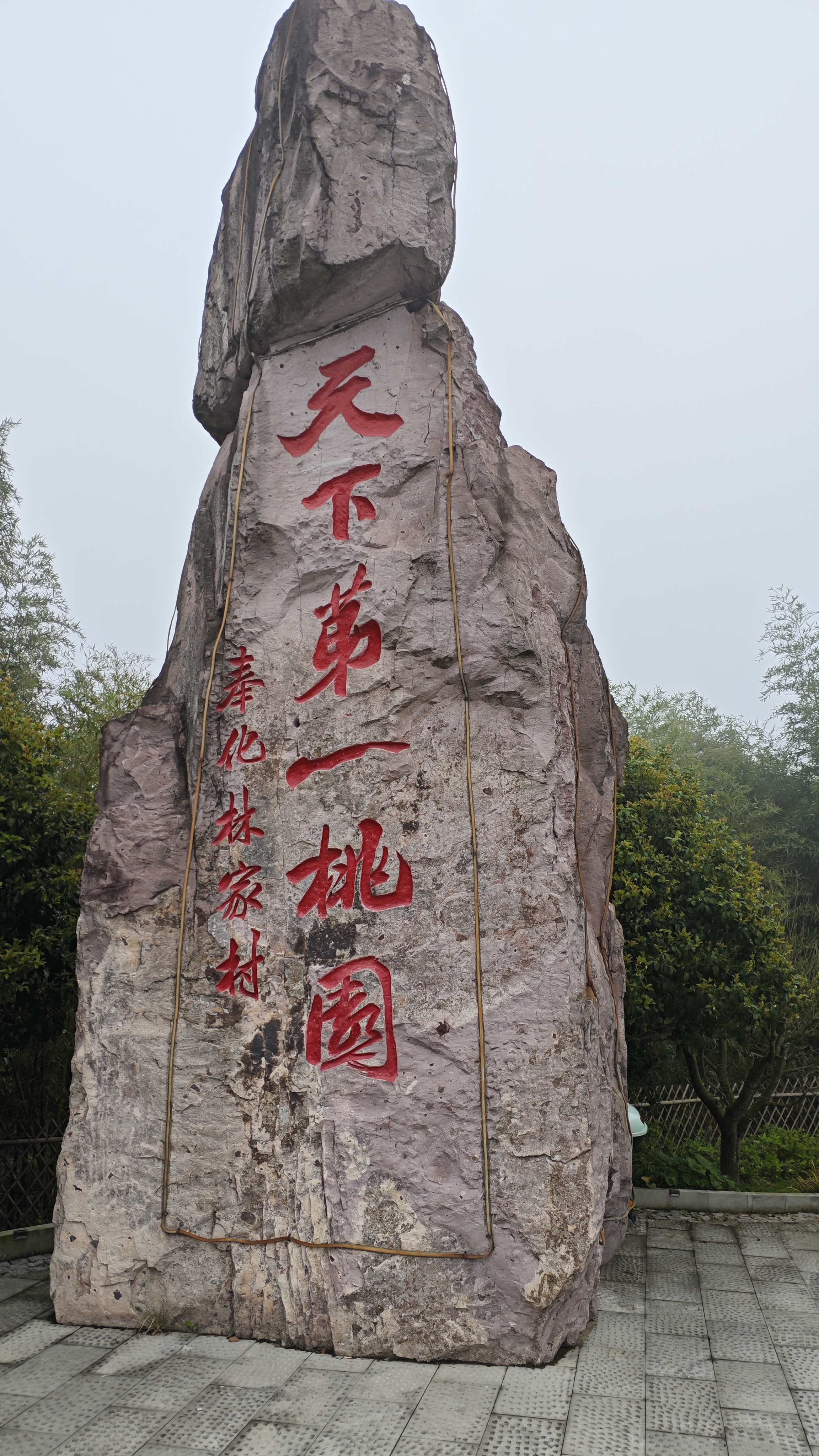 永芳桃花谷图片