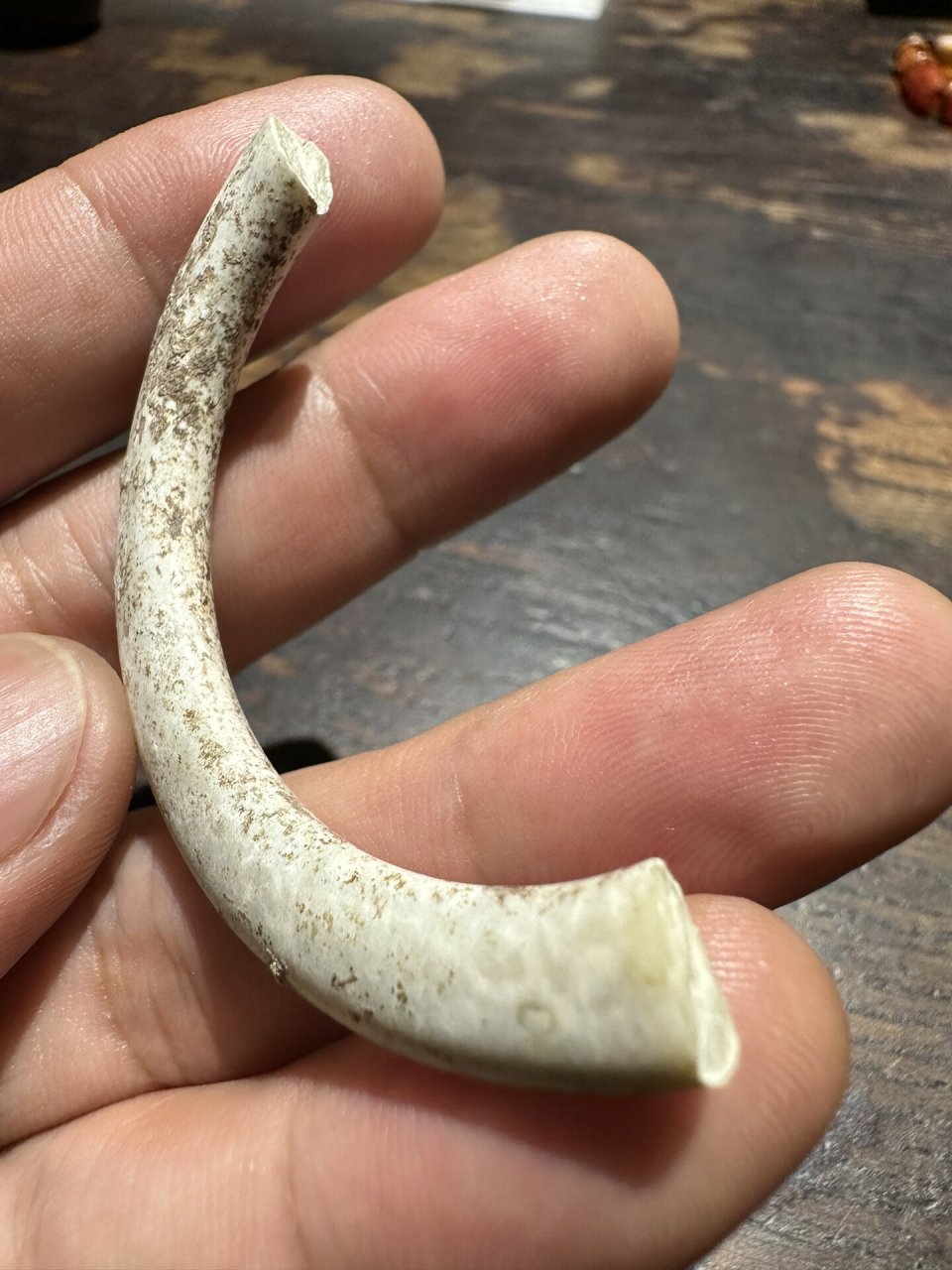 9000年小南山玉器标本