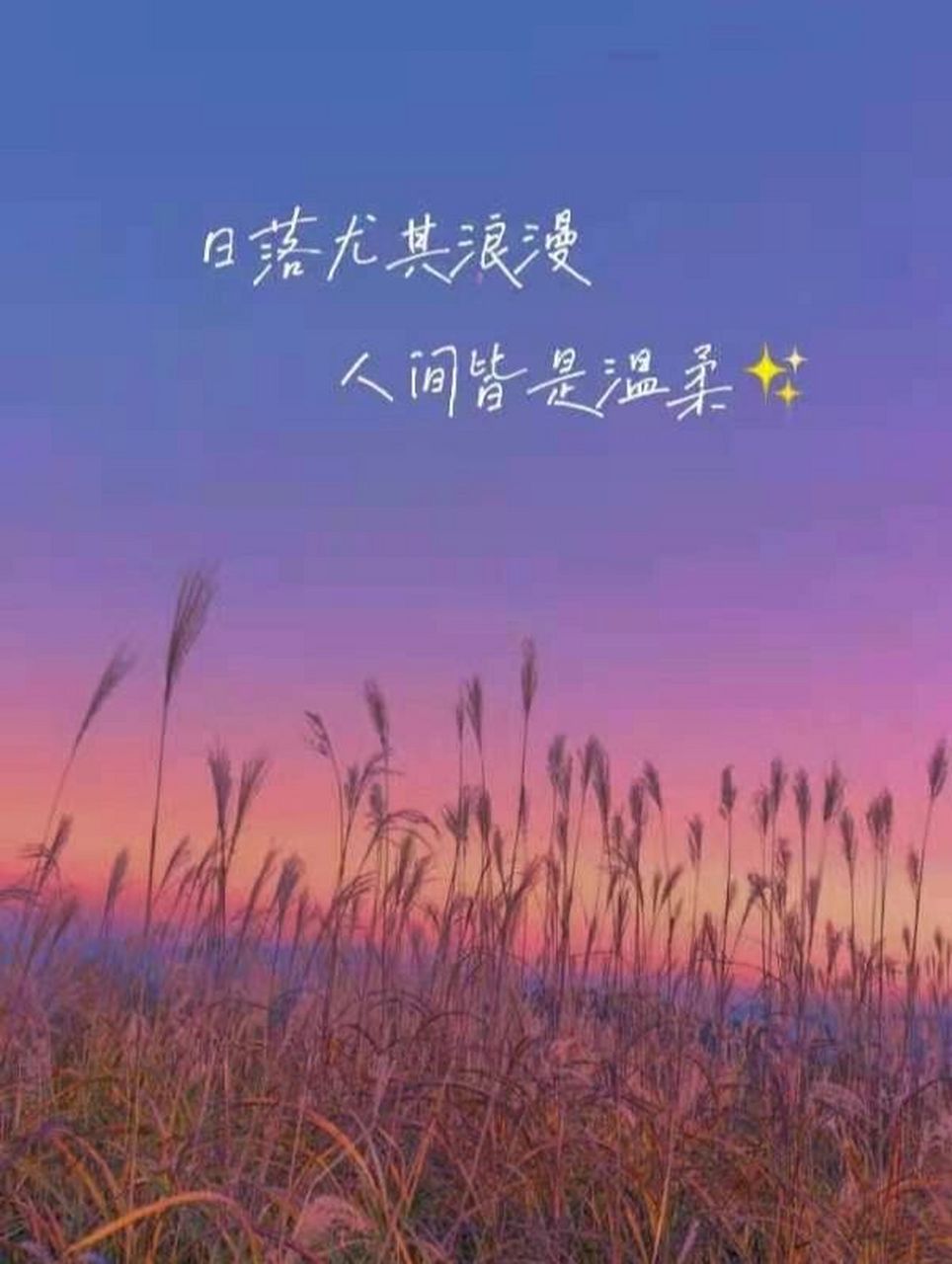 朋友圈很受欢迎的情话,浪漫暖心,唯美煽情 1,你可以是我年少时的兵荒
