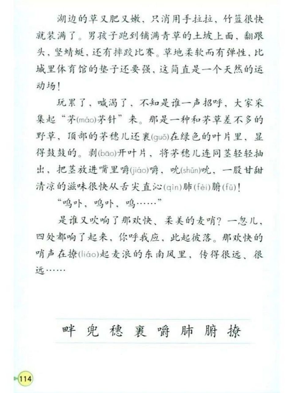 旧版/人教版/小学课文/麦哨 人教版四年级下册作者:陈益茅茅草,我们这