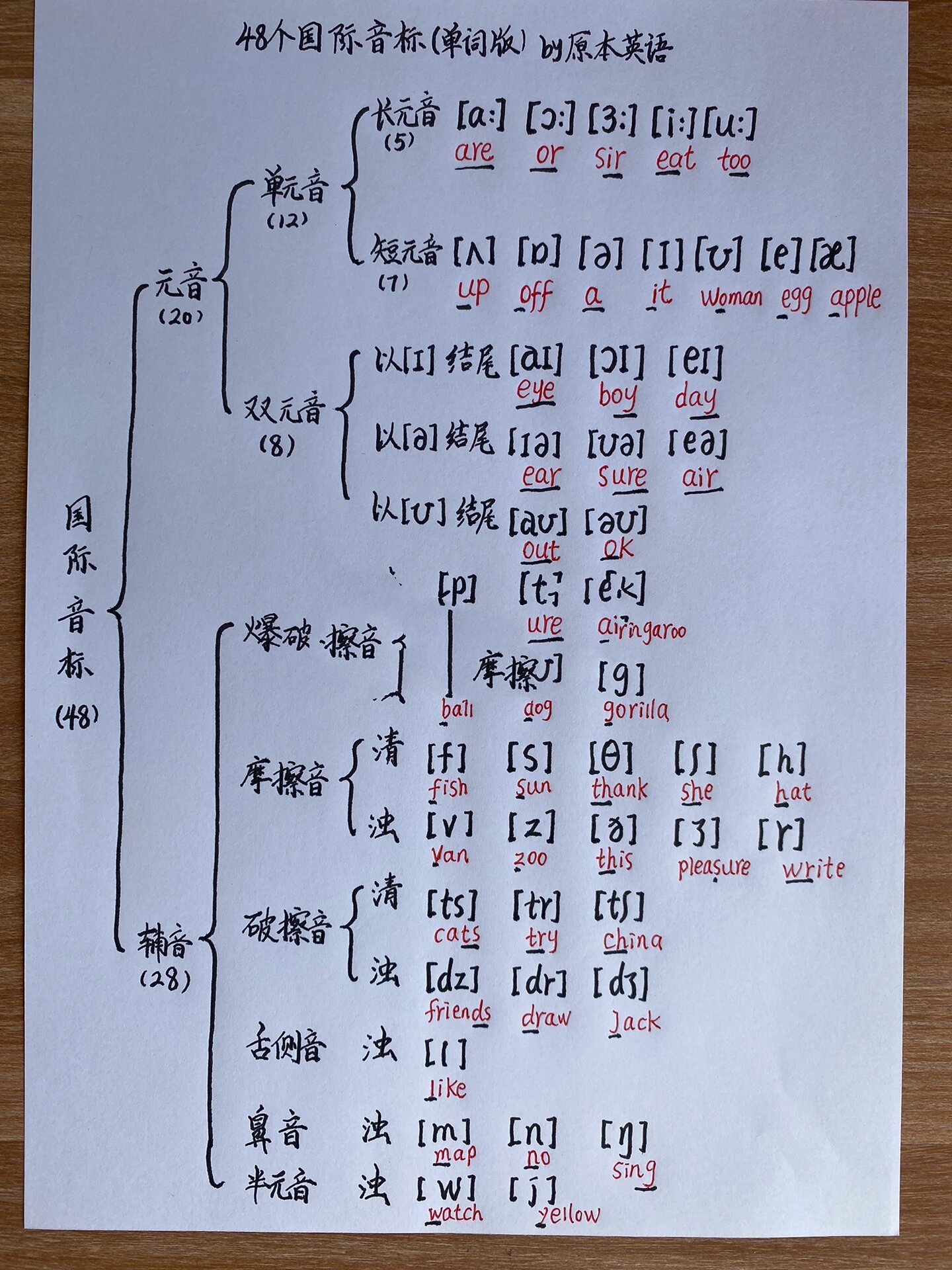 48个国际音标 这样记
