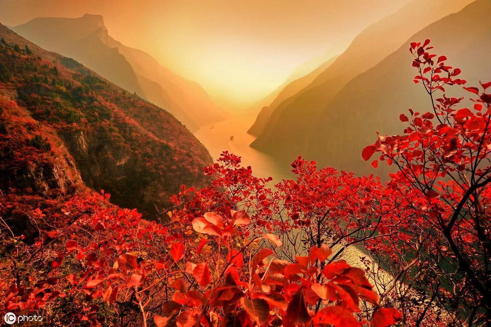 有一上联:叶舞秋风起,求下联                           枫叶映山红