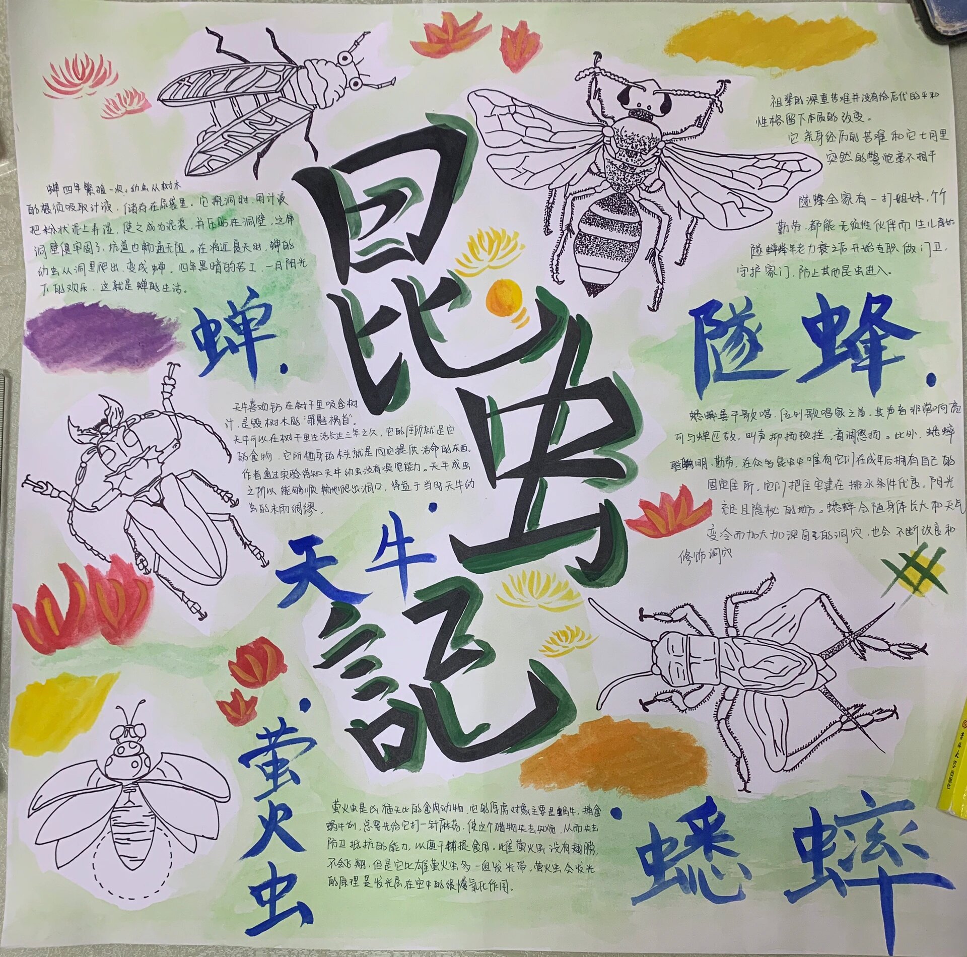 暑假作业—《昆虫记