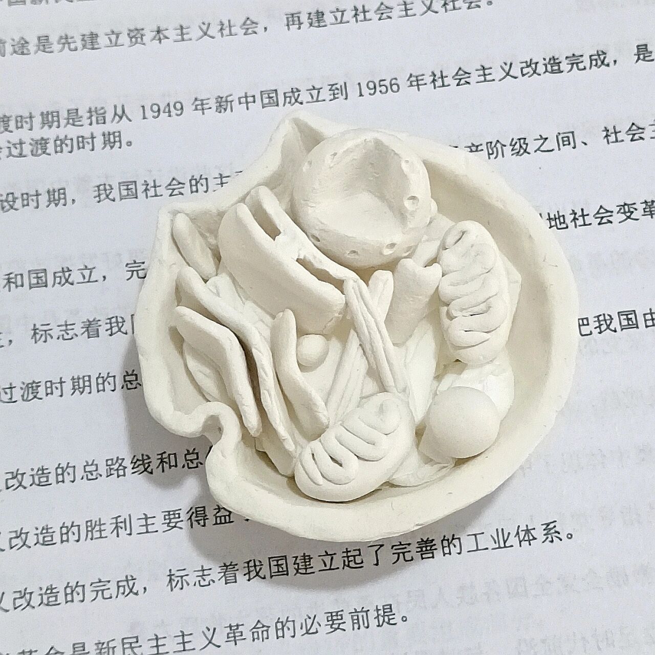 动物细胞模型怎么制作图片