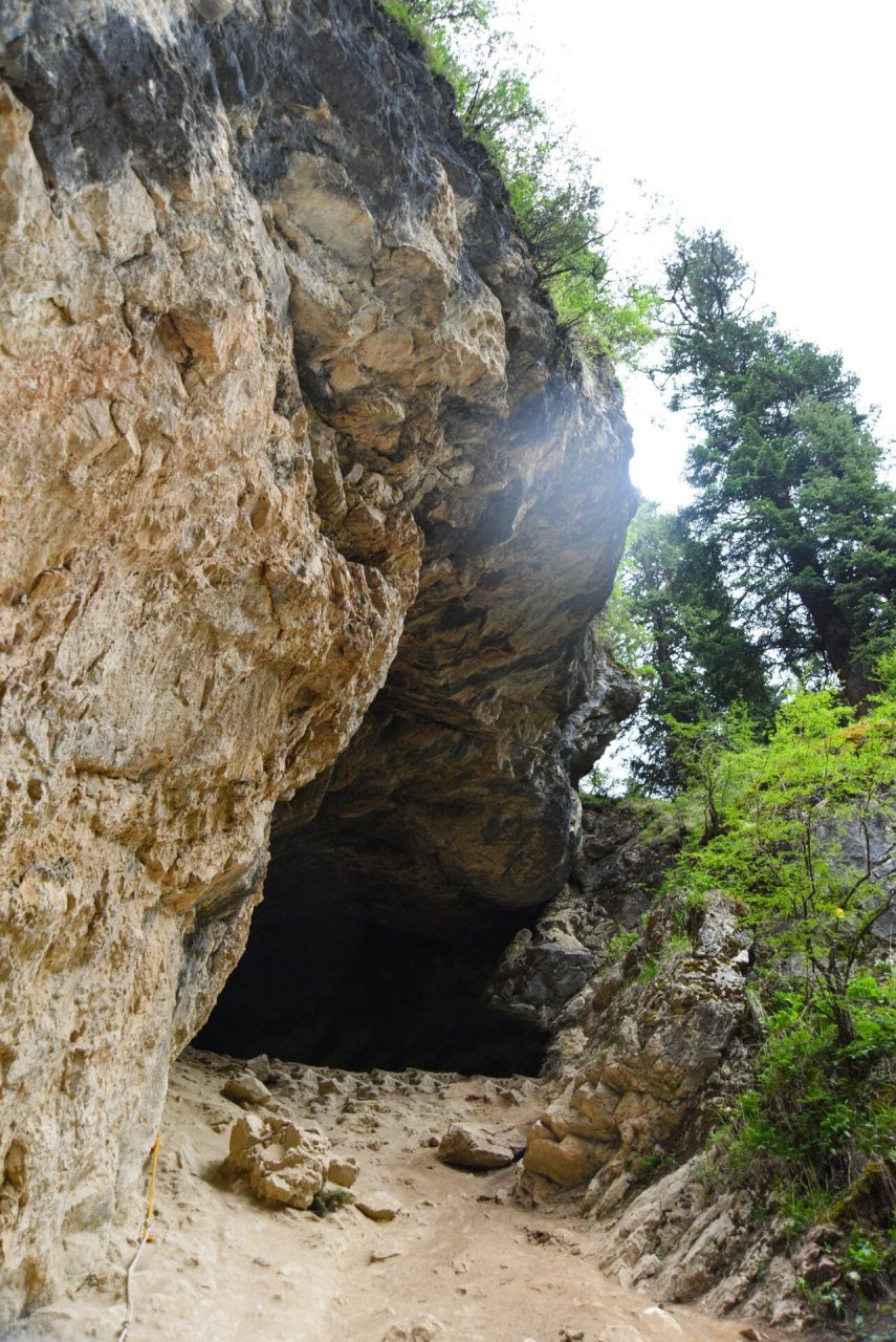 白龙江大峡谷图片