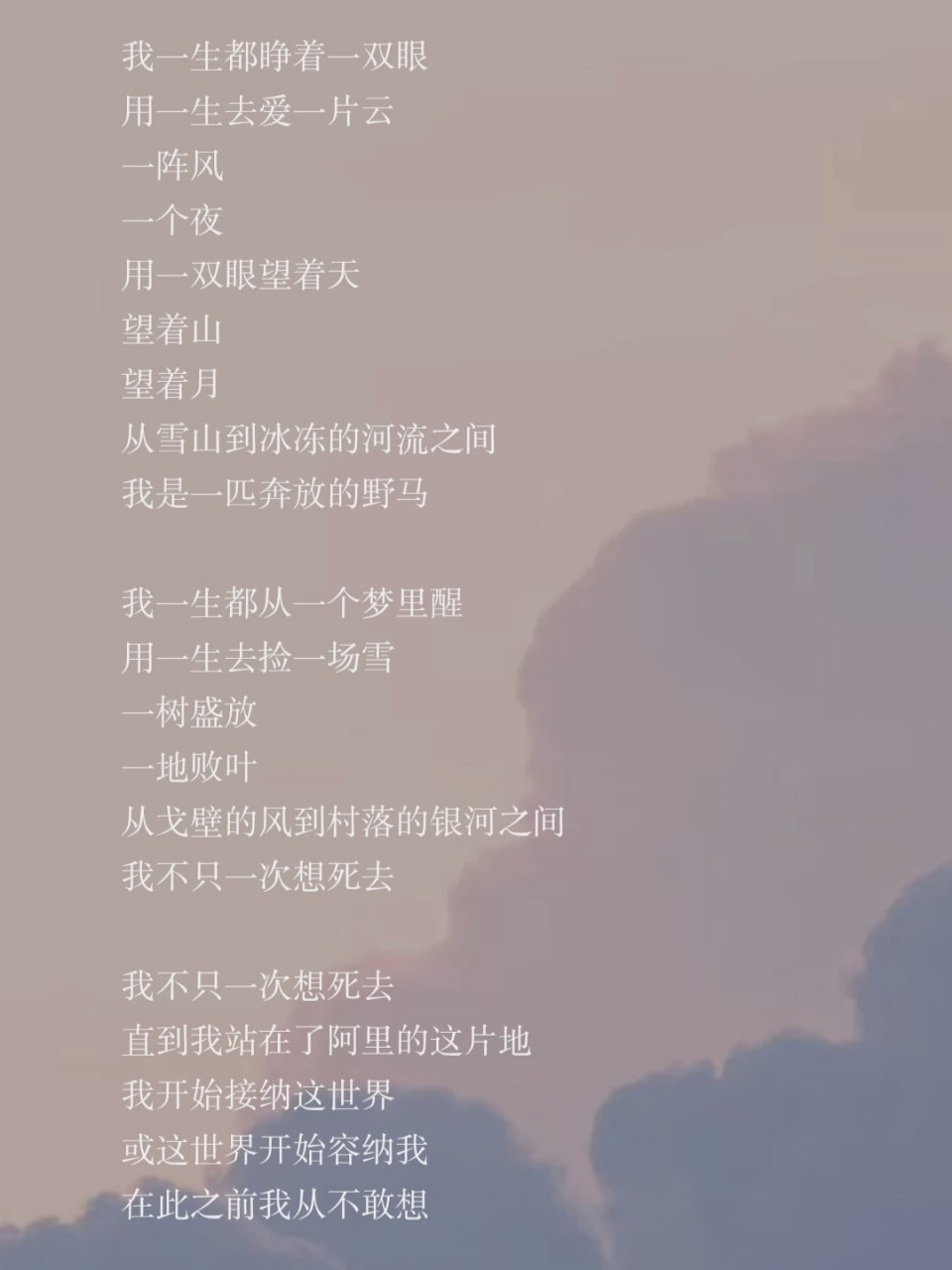 原创诗歌 现代诗自创《野马》 我一生都睁着一双眼 用一生去爱一片云