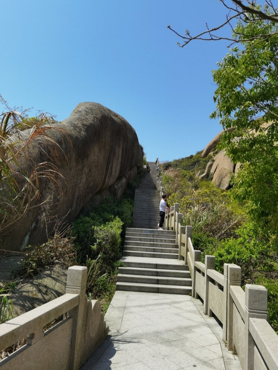 上海小洋山景区门票图片