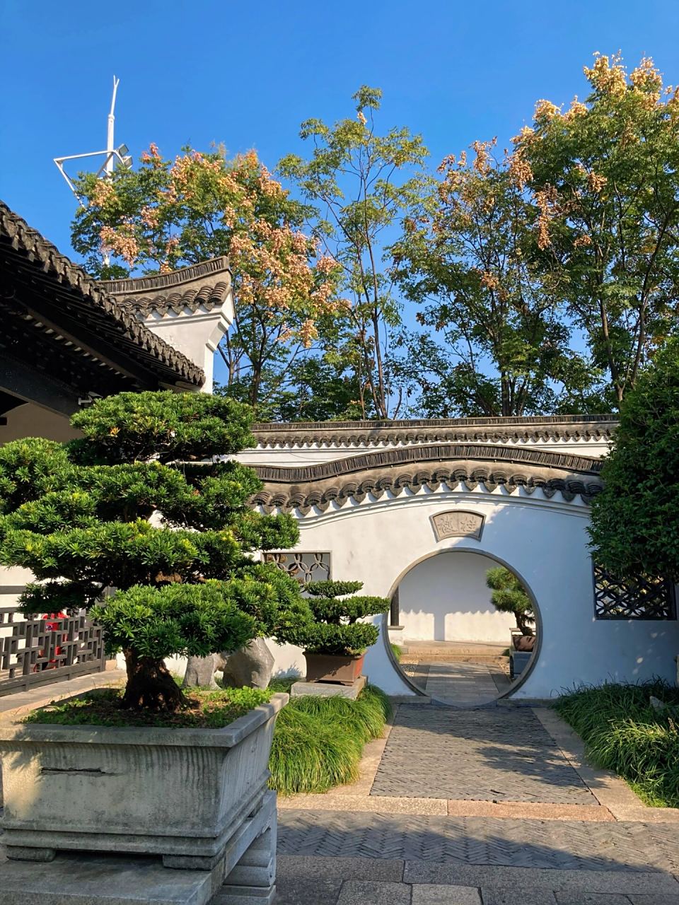 海盐绮园|不用人挤人的小众园林 海盐绮园,隐藏在市井之中的私家园林.