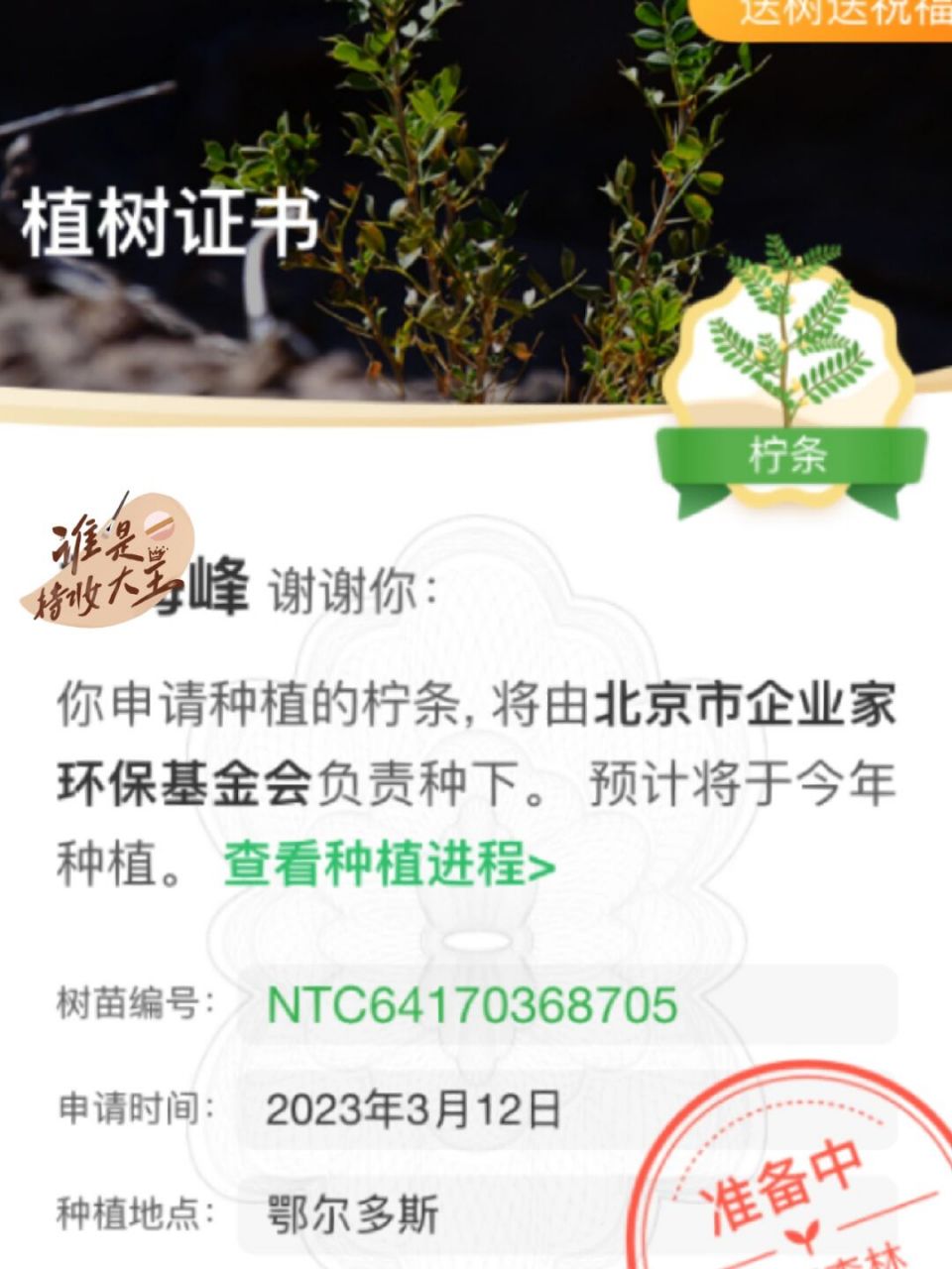 疏疏密密风,谁共涉流水,植树节让马云植颗树 #植树节# #国风